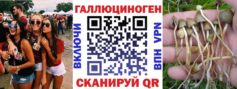 Псилоцибиновые грибы ЛСД  Буй 